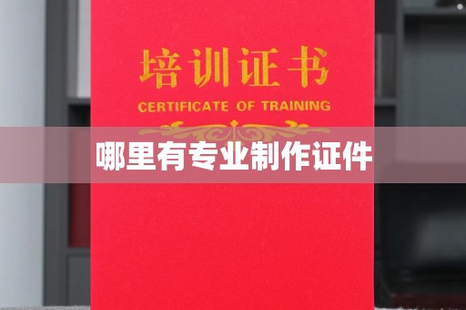 榕城哪里有专业制作证件