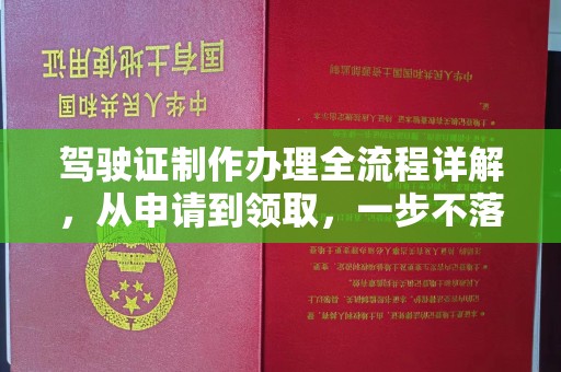 榕城驾驶证制作办理全流程详解，从申请到领取，一步不落